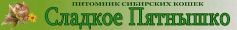 Питомник сибирских кошек Сладкое Пятнышко