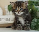 Enisey