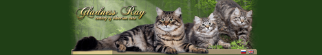�������� "Gladness Ray"